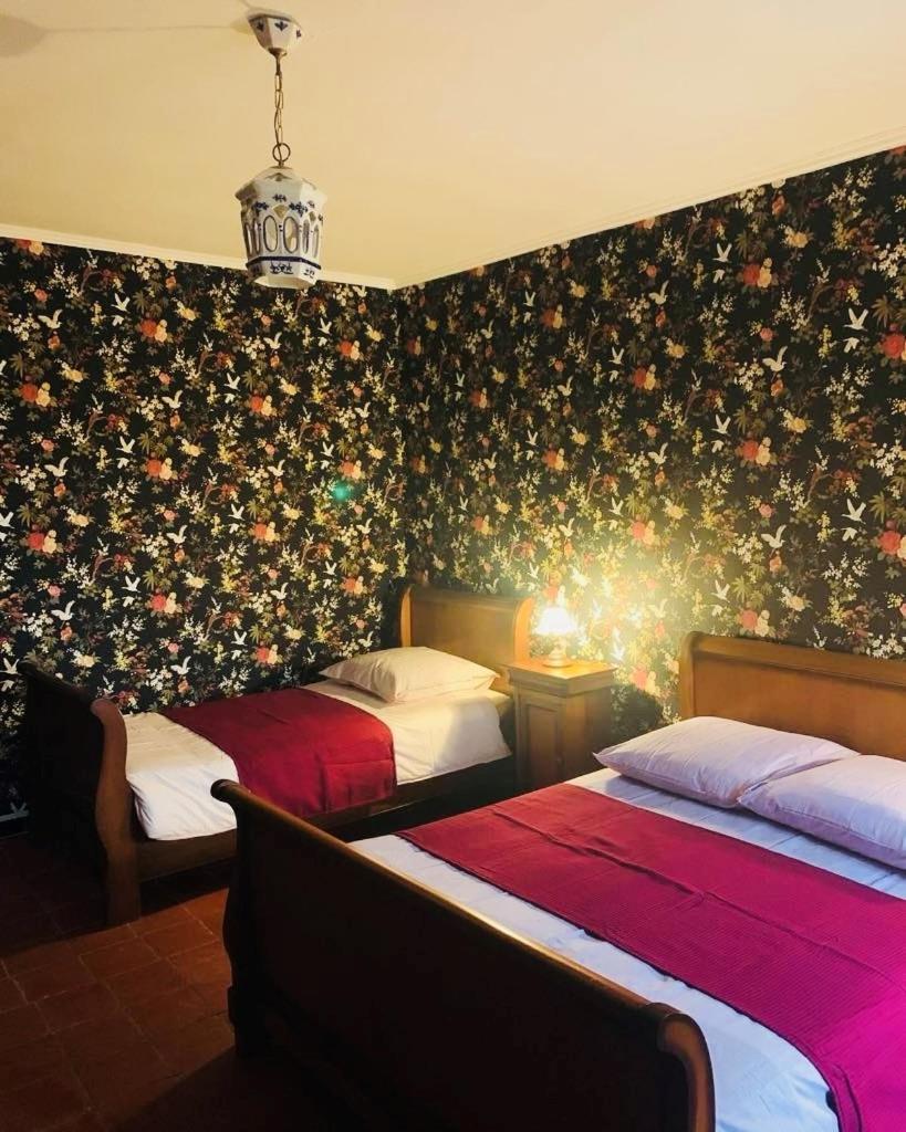 カプタング La Babayaga Bed & Breakfast エクステリア 写真